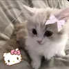 z3kiya.h