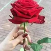 dedimira145