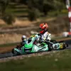 dhondt65