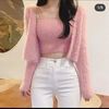 thv_jissotaetae