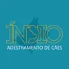 adestradorindio