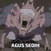 animcc.14