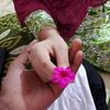 humayra7014