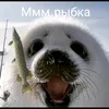 sealvital