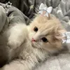 aisha.09_3