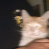 justttmadd