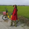 sabariahadinan
