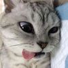 _maiiiii21