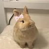 thuy_holly28