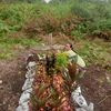 mintaria_marpaung16