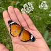 fltm11344
