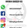 hikmahgardenkoi
