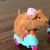 mushimushiy