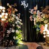 xavierprodecor