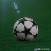 elbicho_2128