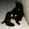 bytterceppp