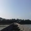 reversingtheflow