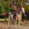 zainsarpanch281