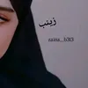 zaina__b313