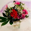 jaranemahdi.030