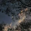 rania.maghribiya