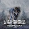 miguelgarcia0842