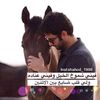 alymostafa502