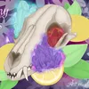 lemonyfoxesstuff