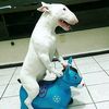 brunitobellakera