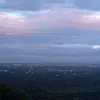 dav_pltr