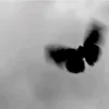 p_s_to_y_e_