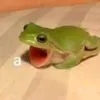 laispaivaaah