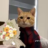 notvibingonearth