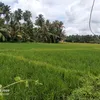 abhkunju