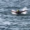 anas_alnajjar4