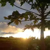 julianamartins7611