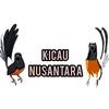 kicau Nusantara