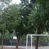 tuanpham0807