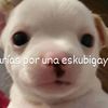erickaldo_geo