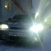 alexander_23093