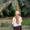 nursitihajar0