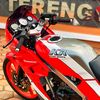 ismetulamraja36