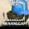 aepaaann