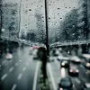 nguyennlongg20307