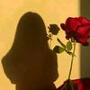 miral88582