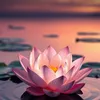 jo_positivity