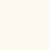user50100106