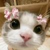 sheis_remmygirl