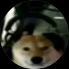 petchekakkkkj