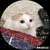 minhanhko1